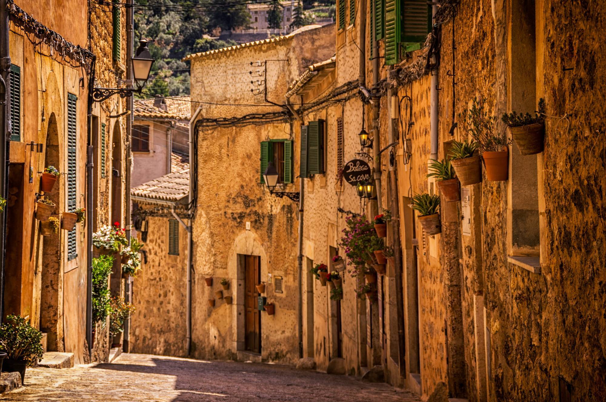 Education Abroad